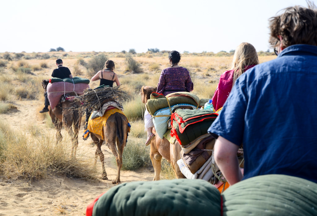 The view from the back of the pack of our 1-day camel safari through the Thar Desert.