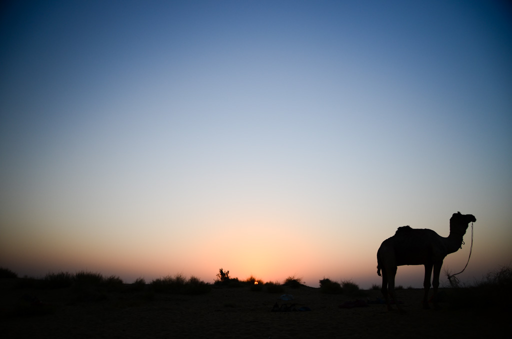 Thar Desert sunrise.