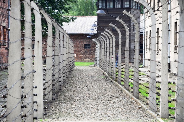 double-fences around Auschwitz I, made of electrified barbed-wire.