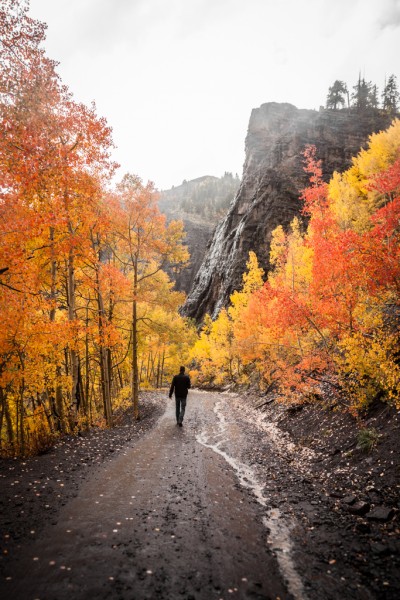 Autumn Aspens in Telluride, Colorado
