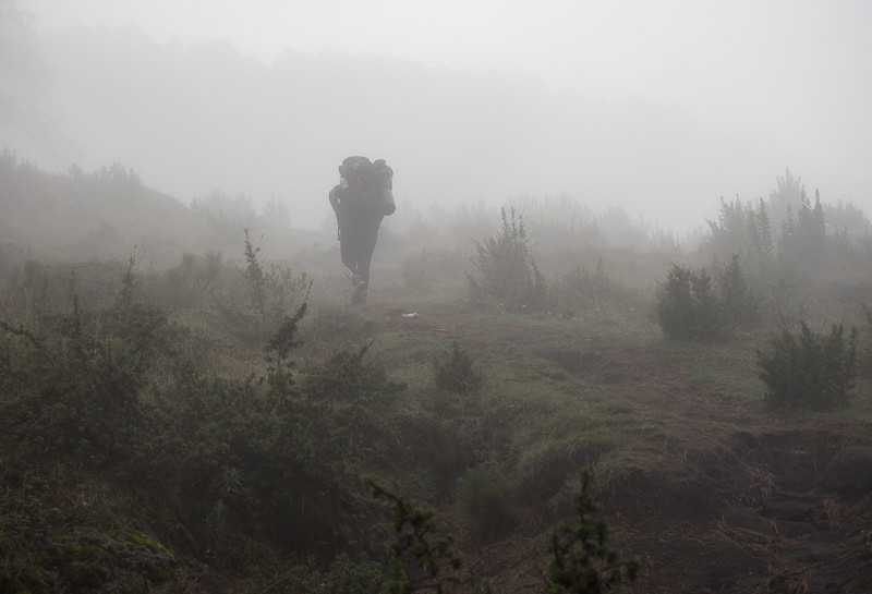 Volcan Tajumulco trek, Guatemala - trees in thick fog on Tajumulco - GreatDistances / Matt Wicks