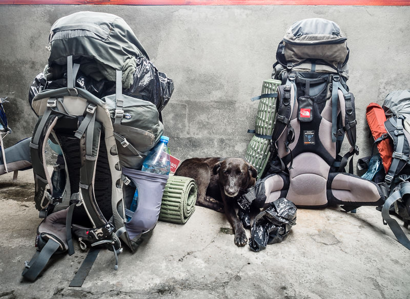 backpacks and a black dog in Guatemala