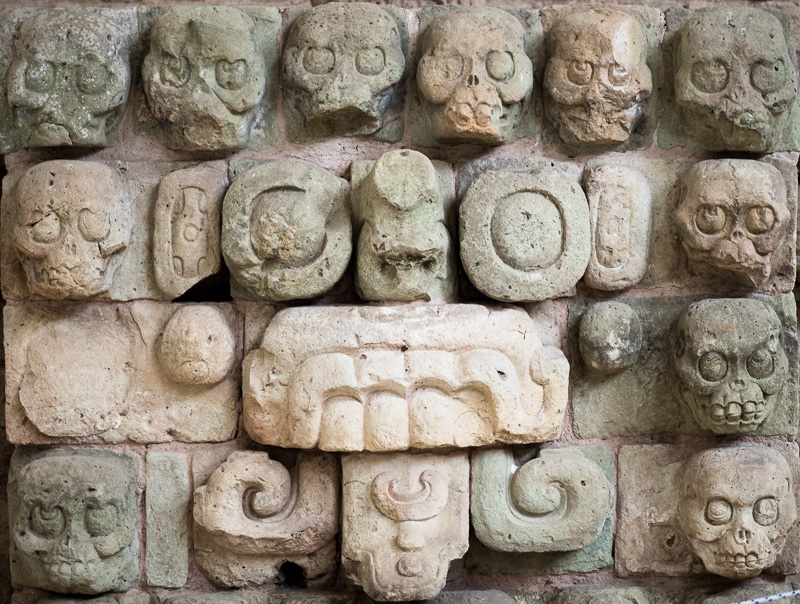 Skull reliefs in Copan Ruins' museum. Honduras. GreatDistances / Matt Wicks