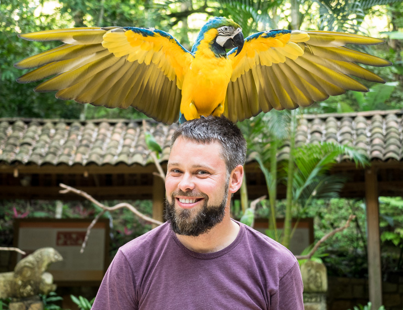 Blue and gold macaw photo op at the end of my tour of Macaw Mountain. GreatDistances / Matt Wicks