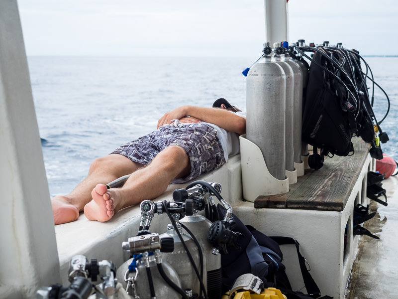 Napping on the way to a dive site in Utila. GreatDistances / Matt Wicks