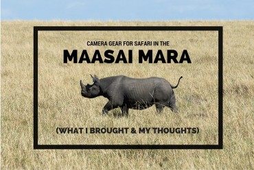 CAMERA GEAR FOR SAFARI in the Maasai Mara - Featured Image, GreatDistances / Matt Wicks