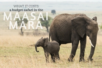budget safari