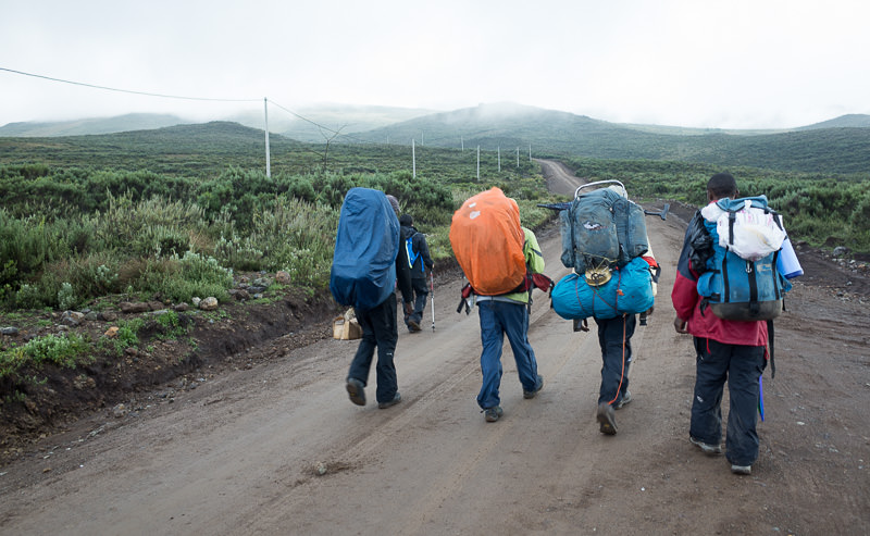 hiking to Old Moses Camp on Mount Kenya. GreatDistances / Matt Wicks
