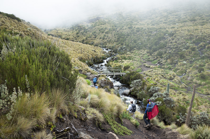 hiking Sirimon valley in the rain, Mt Kenya. GreatDistances / Matt Wicks