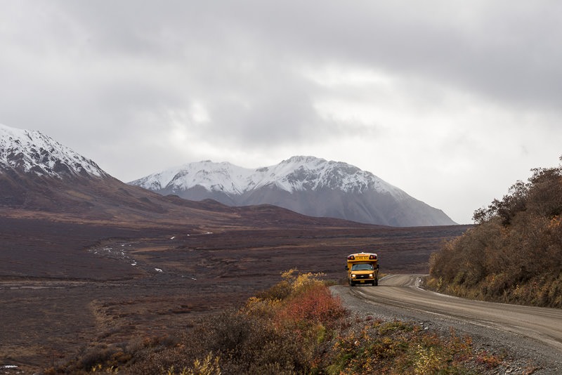 A school bus rounds a corner in Denali National Park. GreatDistances / Matt Wicks - Two Weeks in Alaska: Selected Photos