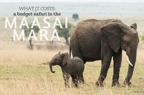 budget safari